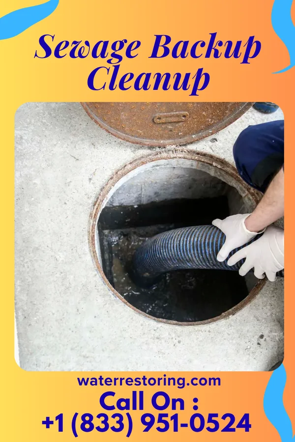 Sewage Backup Cleanup in Lamar, AR